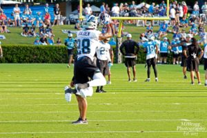 Carolina Panthers at Wofford College in Spartanburg South Carolina