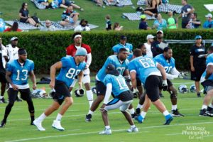 Carolina Panthers at Wofford College in Spartanburg South Carolina