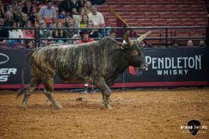 PBR Velocity Tour returns to Bon Secours Wellness Arena in Greenville, South Carolina