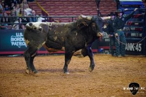 PBR Velocity Tour returns to Bon Secours Wellness Arena in Greenville, South Carolina