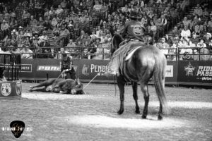 PBR Velocity Tour returns to Bon Secours Wellness Arena in Greenville, South Carolina