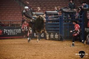 PBR Velocity Tour returns to Bon Secours Wellness Arena in Greenville, South Carolina