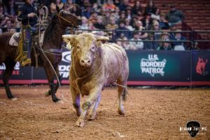 PBR Velocity Tour 2023 at Bon Secours Wellness Arena in Greenville, SC