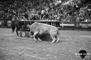 PBR Velocity Tour 2023 at Bon Secours Wellness Arena in Greenville, SC